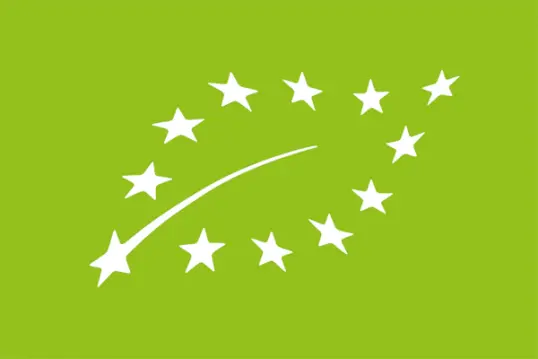 Foglia con stelle su sfondo verde brillante.