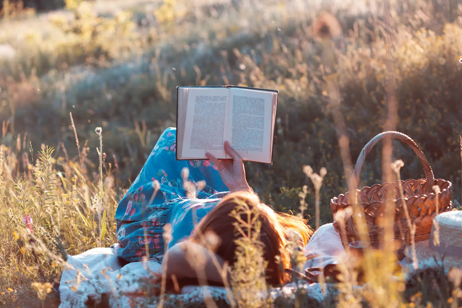 Lettura immersiva nella campagna siciliana