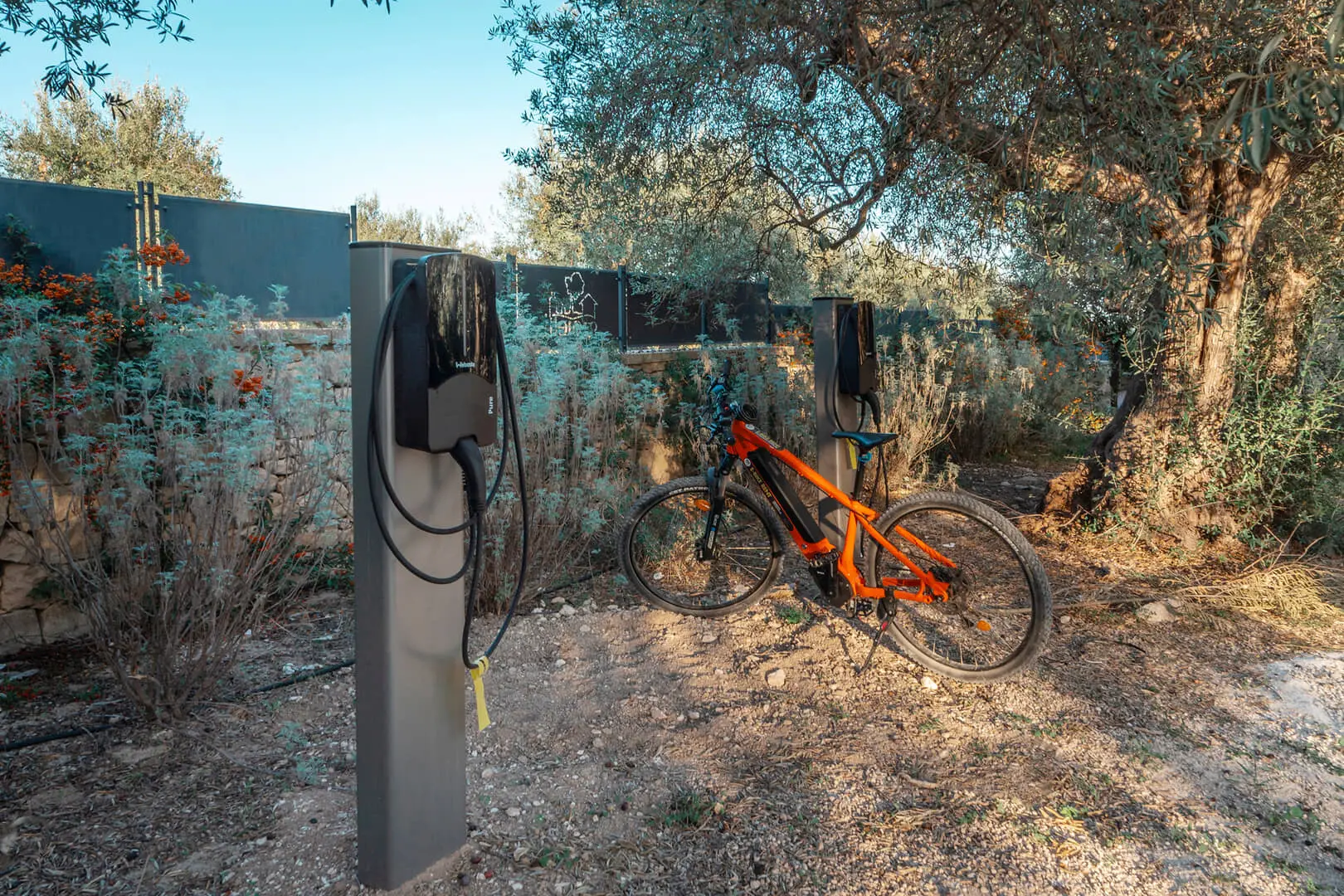 Ricarica bici elettrica tra gli ulivi.